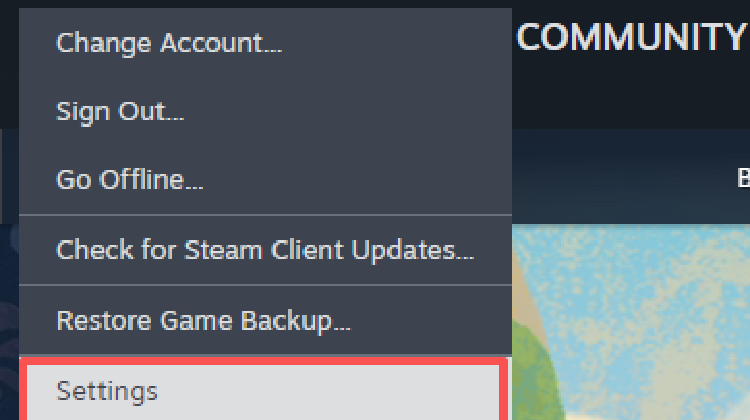 Open Steam client