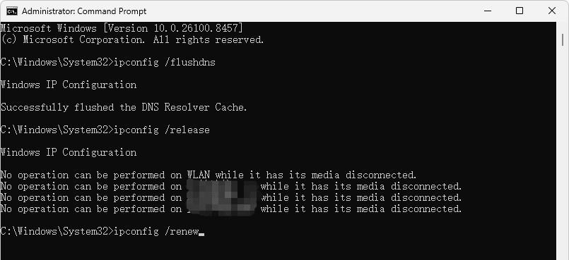 Flush DNS and renew the Battle.net network connection