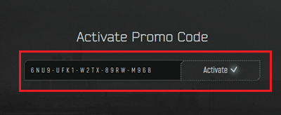 Ввод промокода Tarkov на официальном сайте