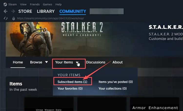 Unsubscribe from STALKER 2 mods