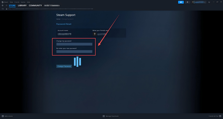 Set a New Password